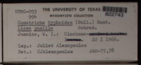 Image Associated With the Occurence